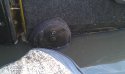 IMAG0159.jpg