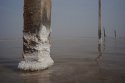 DSC02933.JPG