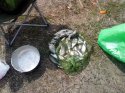 IMG_20130421_131950.jpg