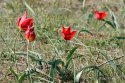 DSC_5589_small.jpg