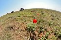 DSC_5619_small.jpg