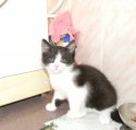 DSCN4624.JPG