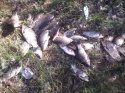 IMG_20130504_093419_1.jpg