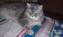IMAG0280.jpg