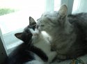 DSC01819.JPG