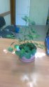 2013-05-16-159.jpg