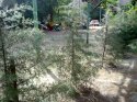 16052013100.jpg