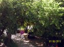 100_0965б.jpg
