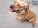 2013-06-13-656.jpg