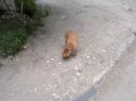 2013-06-13-654.jpg