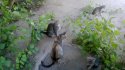WP_20120902_008.jpg