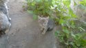WP_20120902_009.jpg
