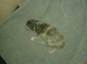 20130714_121432.jpg