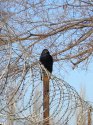 DSCN3615.jpg