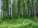 DSC02191_resize_resize.jpg