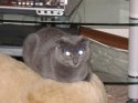 IMG_0127.jpg