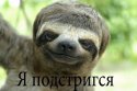 x_e882c309.jpg