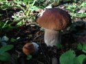 IMG_1781.jpg