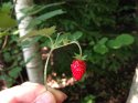 IMG_1791.jpg