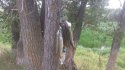 DSC_2167.jpg