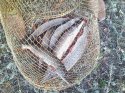 IMG_20130914_175017.jpg
