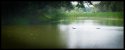 DSCF2340.JPG