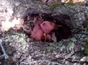 IMG_20130923_103258.jpg