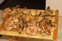 IMG_8233.jpg
