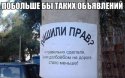 ZZL8QaBlQhM.jpg