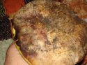 DSC00935.JPG
