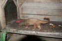 DSC00352.jpg