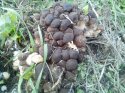 Фото_2013.10.25_162435.jpg
