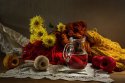 DSC00751-web.jpg