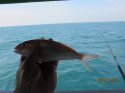 IMG_0391.jpg
