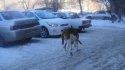 DSC03071.jpg
