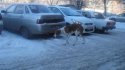 DSC03072.jpg