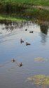 DSC03835.jpg