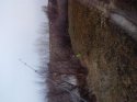 IMG_20140317_084608.jpg