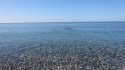 IMG_0464.JPG