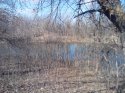 IMG_20140328_153841.jpg