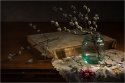 DSC01973-web.jpg