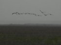 DSCN3932.jpg