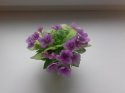 20140420_155758.jpg