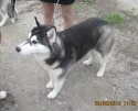 IMG_3025.jpg