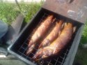 IMG_20140512_113558_1.jpg