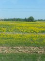 20140518_161057.jpg