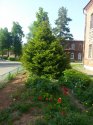 20140518_175902.jpg