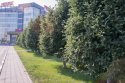 DSC02019.jpg
