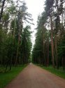 20140609_114633.jpg