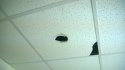 WP_20140620_003.jpg